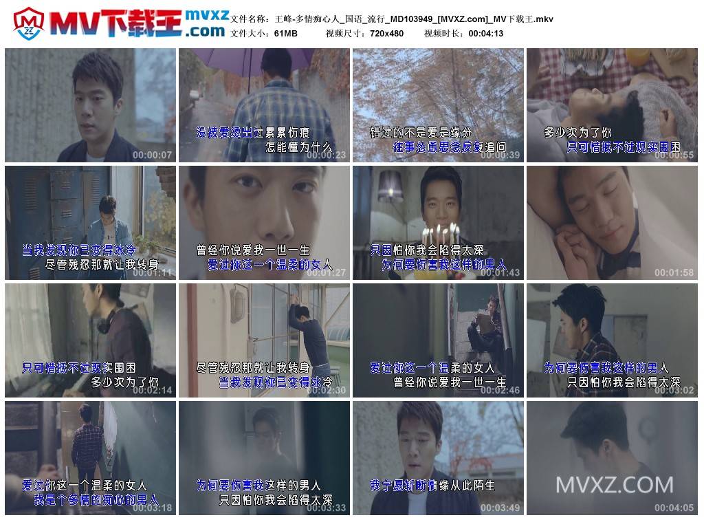 王峰-多情痴心人_国语_流行_MD103949